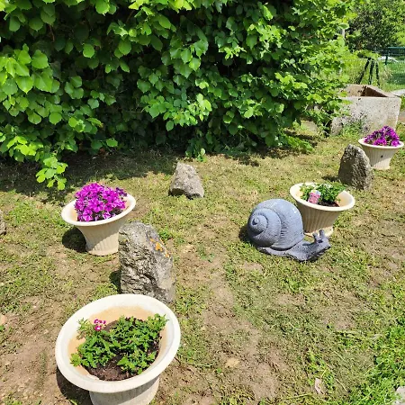 Charmante * Nalliers (Vendee)